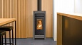 Камин с естественной вентиляцией ESSENZA WOOD METALCOLOR